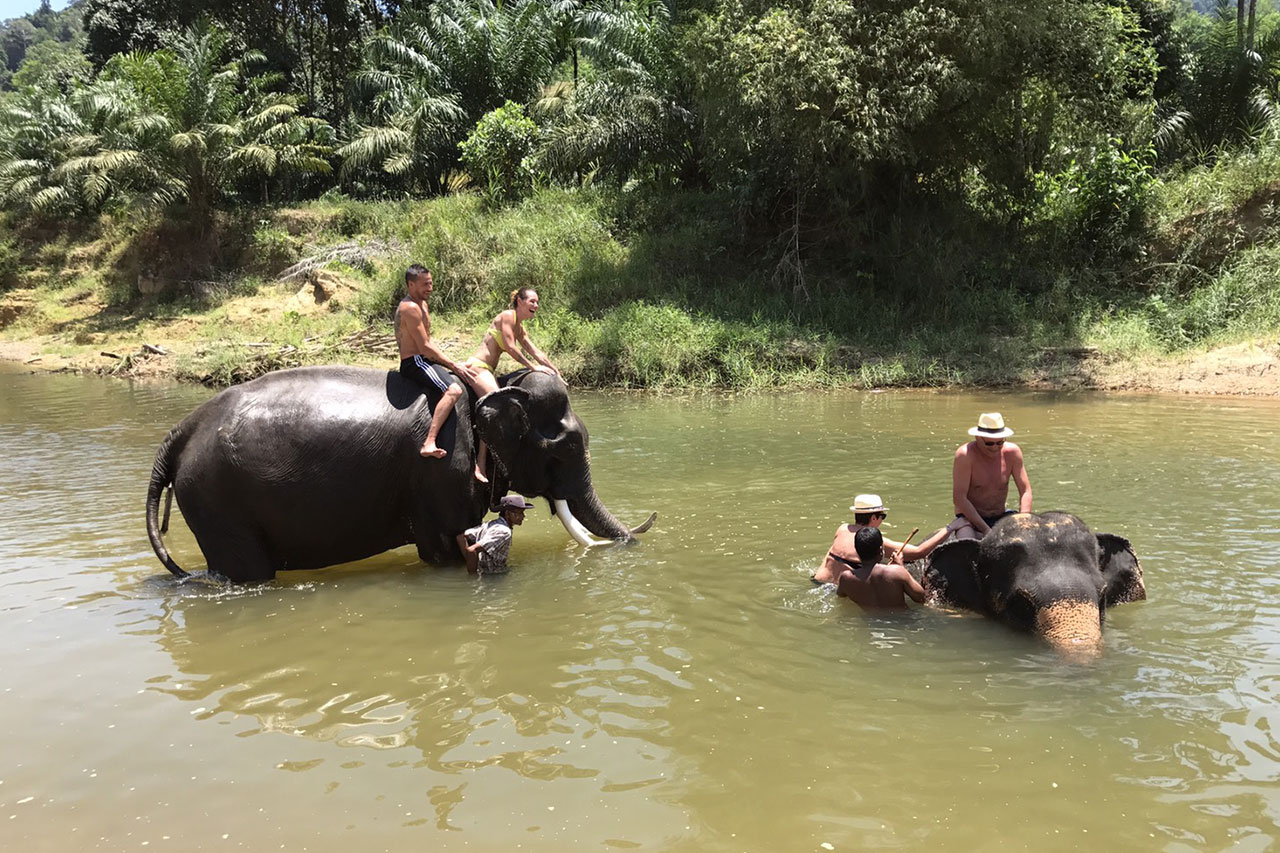 Khao Sok: Tam Gün Bambu Raftingi ve Fil Banyosu